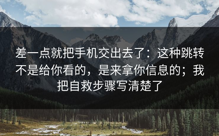 差一点就把手机交出去了：这种跳转不是给你看的，是来拿你信息的；我把自救步骤写清楚了