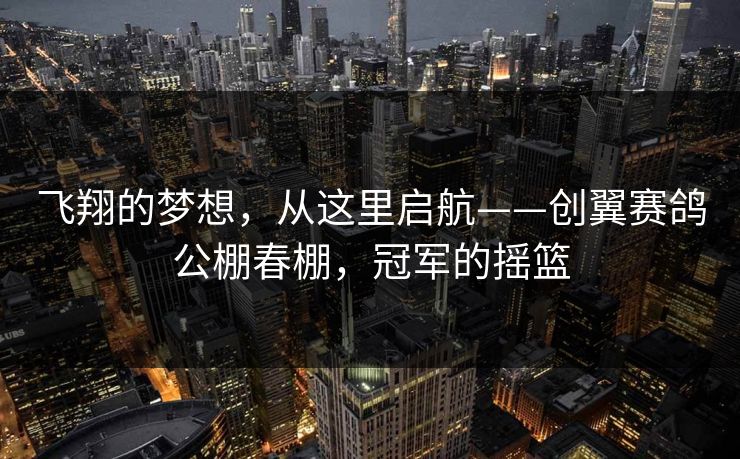 飞翔的梦想，从这里启航——创翼赛鸽公棚春棚，冠军的摇篮