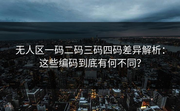 无人区一码二码三码四码差异解析：这些编码到底有何不同？