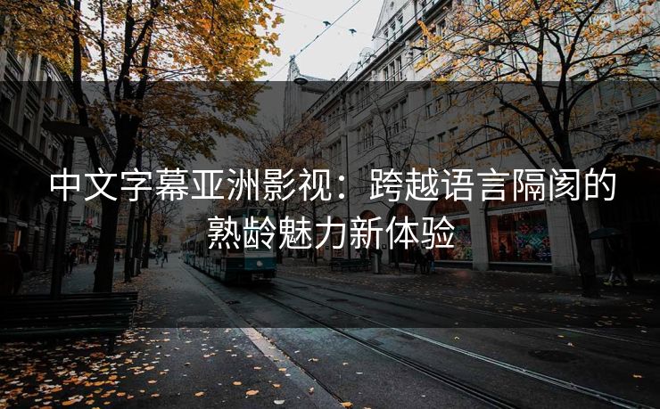 中文字幕亚洲影视：跨越语言隔阂的熟龄魅力新体验