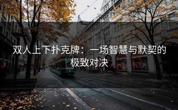 双人上下扑克牌：一场智慧与默契的极致对决