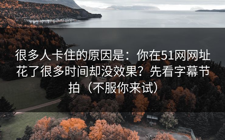 很多人卡住的原因是：你在51网网址花了很多时间却没效果？先看字幕节拍（不服你来试）